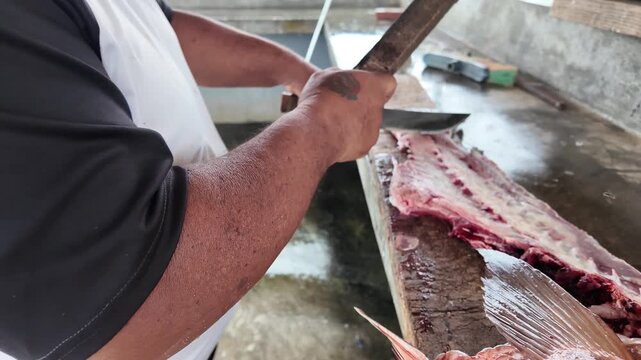 An intimate handheld shot authentic fisherman expertly cleaning a snapper skeleton to ensure zero waste, highlighting sustainable artisan practices at a coastal shelter.