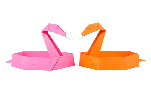 Two origami snakes, pink and orange, face each other against black