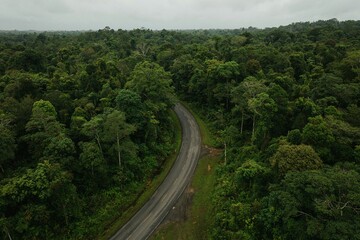 Fototapeta premium Aerial Drone View of a Winding Road Through Lush Tropical Rainforest