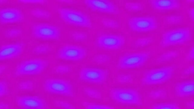 Vibrant abstract quantum wave background with magenta and blue glowing dots forming a dynamic pattern