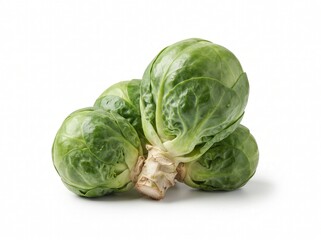 Fototapeta premium Fresh Green Brussels Sprouts on Stem Isolated on White Background for Culinary Recipe Blogs and Healthy Eating Grocery Marketing