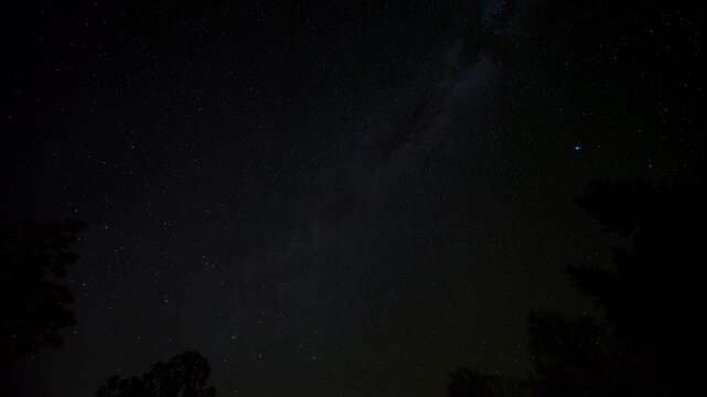 Panoramic night sky filled with dense starfield and faint glowing galactic band above silhouetted treetops at horizon, with night, sky, star, starfield detail, showing galaxy, astronomy, stargazing