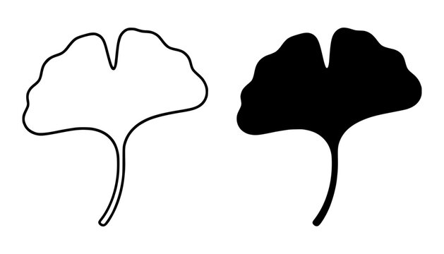 Minimalist ginkgo biloba icon in outline and silhouette style, for UI/UX app design