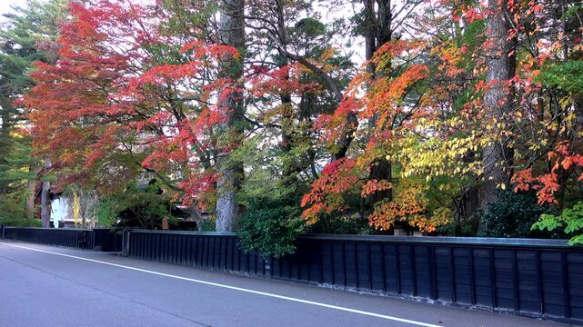 角館武家屋敷通りの紅葉