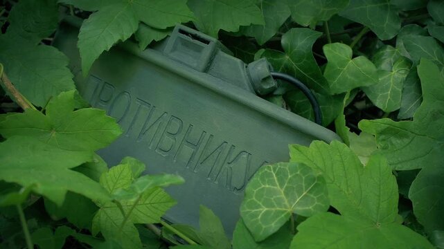 Russian Made Claymore Mine Hidden In The Undergrowth