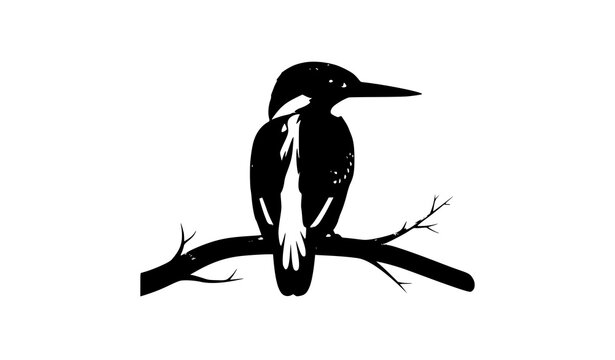 Kingfisher bird silhouette vector black icon kingfisher perched on branch isolated on white background