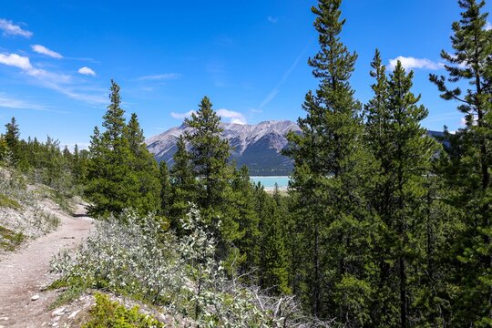 Stunning view of Abraham lake and mountains from a hiking tral in David Thompson Country
