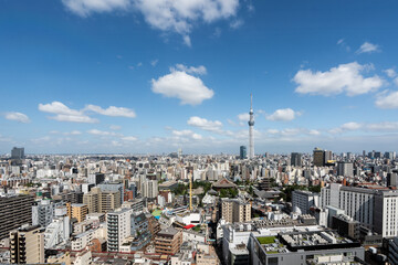 Naklejka premium 浅草の町と東京スカイツリーの風景