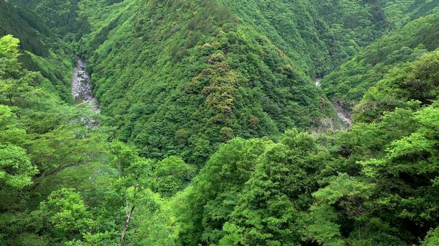 祖谷渓のひの字渓谷