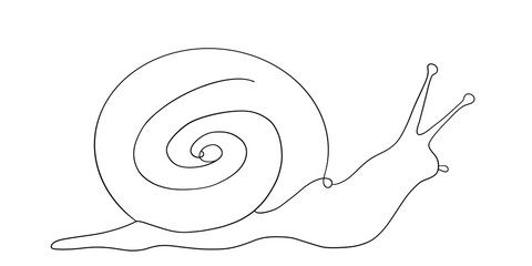 Continuous Line Drawing Snail Minimalist Art Illustration © ImageFlow 