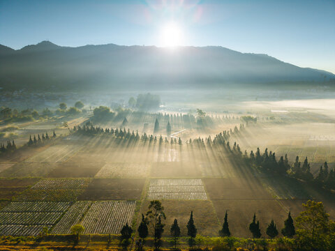 Aerial view of Candi Arjuna Dieng plateau with agricultural fields, morning mist, and sun rays illuminating the landscape in Indonesia.