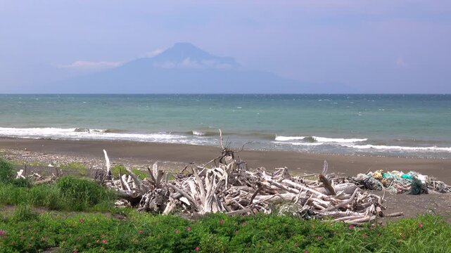 海岸の清掃で集められた流木と利尻島