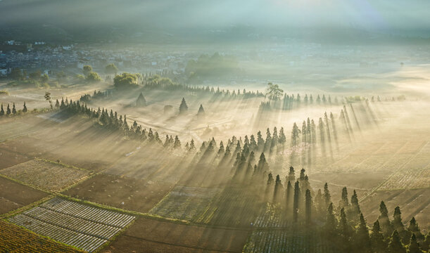 Aerial view of Candi Arjuna temple complex surrounded by agricultural fields and morning mist with sun rays in Indonesia.
