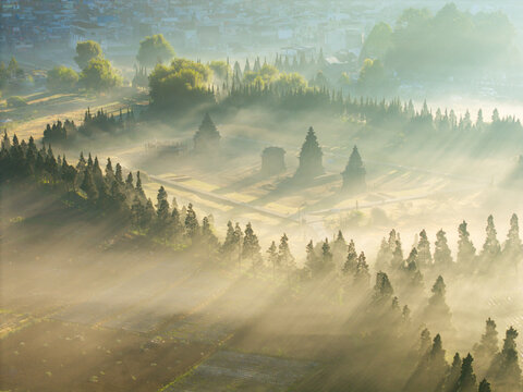 Aerial view of Candi Arjuna temple complex surrounded by morning mist, pine trees, and golden sunbeams in the Dieng Plateau, Indonesia.