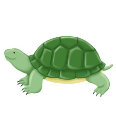 Hand Drawn Turtle Clipart Isolated on Transparent Background