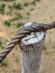 rope on a wooden fence © Bibek
