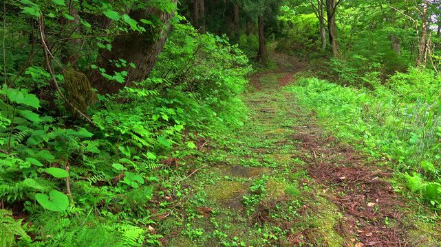 黒沢峠の敷石道