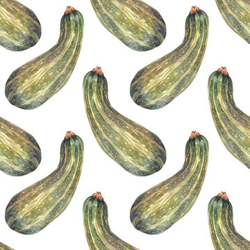 Watercolor seamless pattern with green squash zucchini on white background. Courgette. Autumn vegetable raw food for sticker or menu card. Hand-drawn art for kitchen. Wallpaper or wrapping or textile