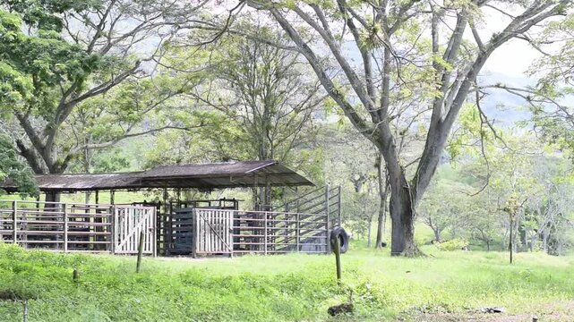 Pan of cattle corrals on a traditional Colombian livestock farm