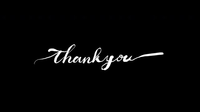 Thank you handwritten style text animation with hand drawn calligraphy monoline vintage text suitable message and  greeting. alpha channel only 4k.