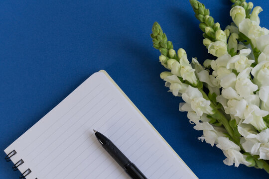 White snapdragons bloom beside a lined notebook. Black pen rests open on the page. Bright blue surface enhances the clean, calm setup. Ideal for journaling, planning, or creative inspiration