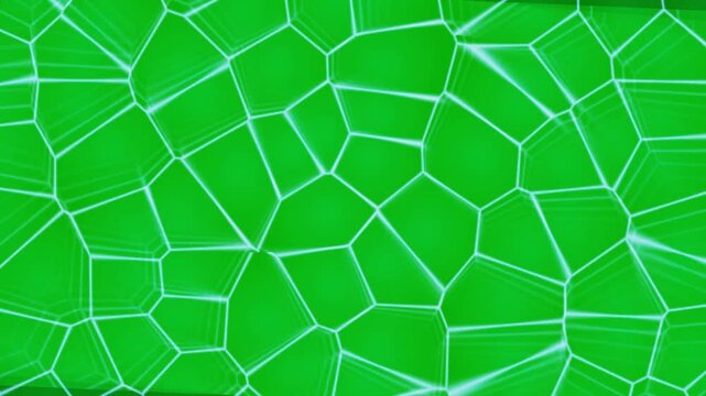 Glowing green cellular voronoi pattern