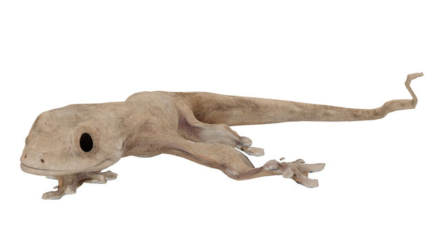 3d rendering of a reptile modeled in a neutral position