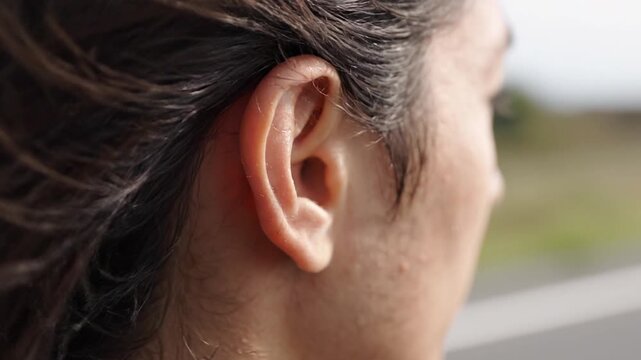 human ear