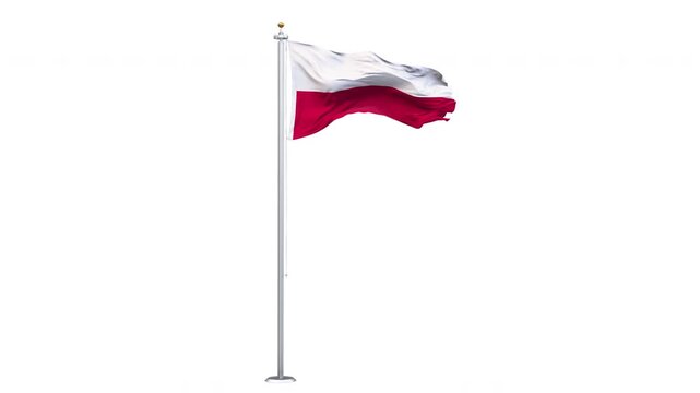 Poland flag waving looping with transparent background, with alpha matte layer for transparency in the background.