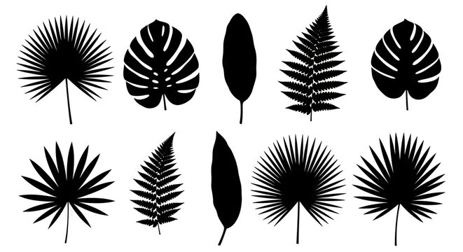 Black tropical leaf silhouettes on white background.