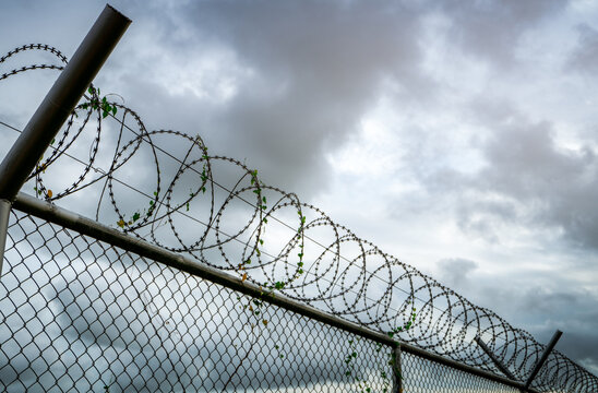 Razor wire security fence beneath dramatic storm clouds, concept of border security, military defense, prison protection, restricted access, surveillance systems and critical infrastructure safety.