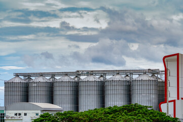 Agricultural grain silos at a commercial feed mill factory with modern steel storage tanks. Grain handling, livestock feed manufacturing, agricultural logistics and food supply chain infrastructure. © Fahroni