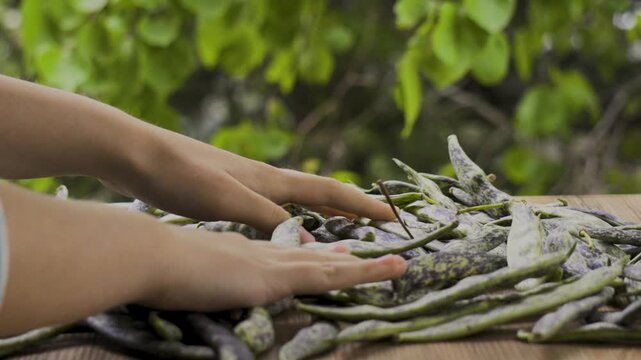 Green beans on wooden table with leaves background cleaned by hands, 4K