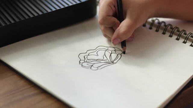 Girl aged 10 drawing a flower illustration in her art studio with focus on her creative process
