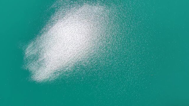 Lake Bled, Slovenia, Revealing Drone Shot of Turquoise Alpine Water, Island and Landscape