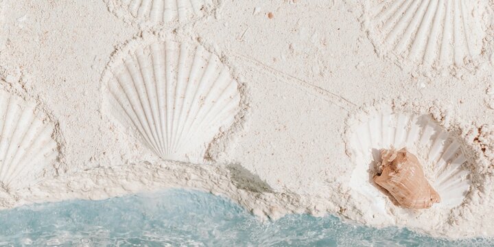 Scallop shell imprints pressed into soft white beach sand with a single tan seashell, weathered coastal texture for summer product background