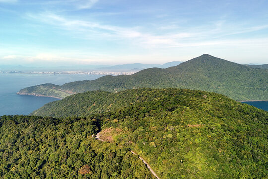 Lush jungle covers Son Tra Peninsula hills in Da Nang, Vietnam