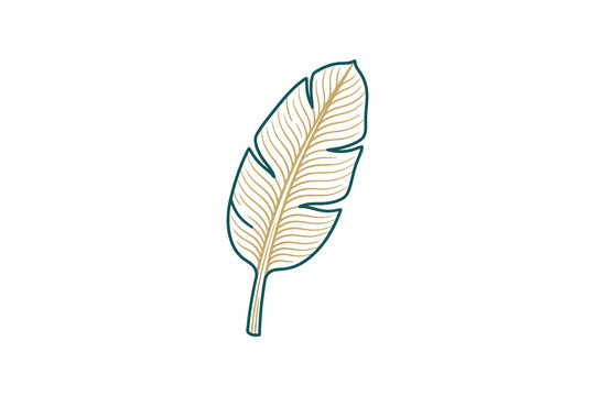 Elegant Banana Leaf Vector Illustration