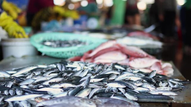 Fresh small silver sea fish pile displayed for sale at Vinh Hai market in Nha Trang, Vietnam. Close up view of raw anchovies or mackerel at traditional Asian seafood wet market, local food concept.