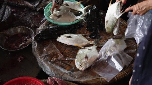 Seller packing raw pompano fish into plastic bag for customer at Vinh Hai market in Nha Trang, Vietnam. High angle view of silver pomfret display at traditional Asian seafood wet market stall.