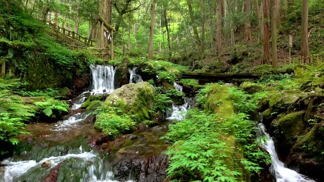 若狭瓜割名水公園　瓜割の滝