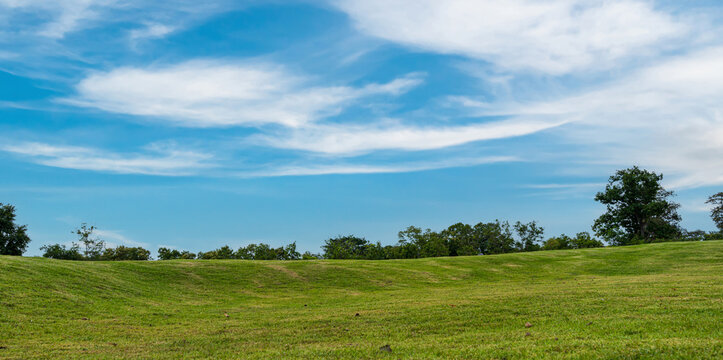 Green grass field with a line of trees on the horizon under a bright blue sky filled with soft wispy clouds.