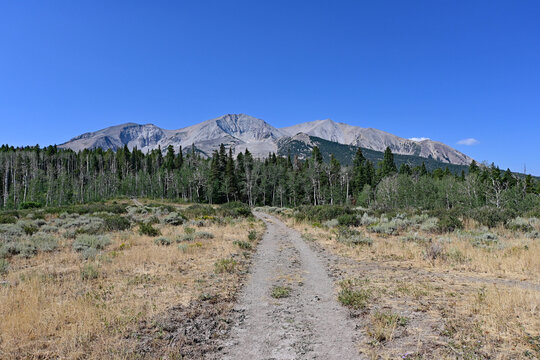 Section of Thomas Lakes Trail near Carbondale, Colorado with Mount Sopris in background on clear sunny summer morning.