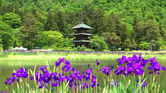安久津八幡神社の三重塔