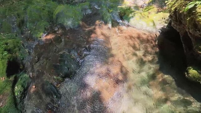 三樽権現の滝360 20260724-4