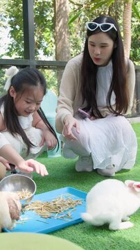 Asian Mother and Daughter Feeding White Rabbits at Petting Zoo
