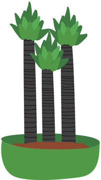 Three Yacca Plant in Green Vase