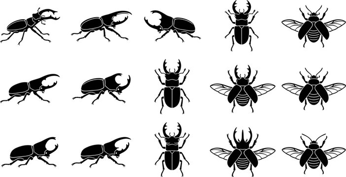 Collection of various beetle insect silhouettes on white background.