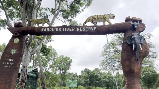 Bandipur Tiger Reserve entrance arch in Karnataka India with tiger sculpture, forest trees and tribal wildlife statue, showcasing famous national park gateway, safari tourism and conservation landmark