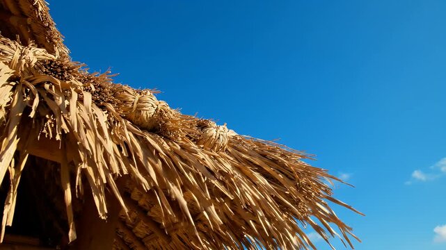 Woven Thatch Roof Detail Against Blue Sky - A close-up, low-angle view shows the intricate texture of a woven thatch roof made from dried palm leaves.